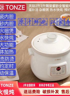 天际紫砂电炖锅1-2-3-4人 家用宿舍煮粥煲汤BB辅食陶瓷锅文火慢炖