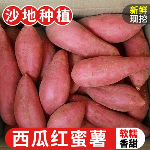 广西红心蜜薯新鲜现挖农家番薯地瓜软糯又香甜西瓜红红薯水果蔬菜