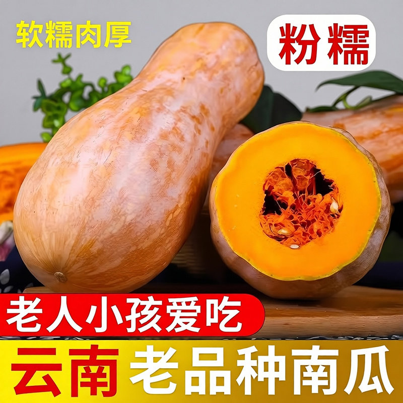 甜糯云南高原蜜本南瓜长南瓜老南瓜现摘农家产地直供小南瓜纯天然
