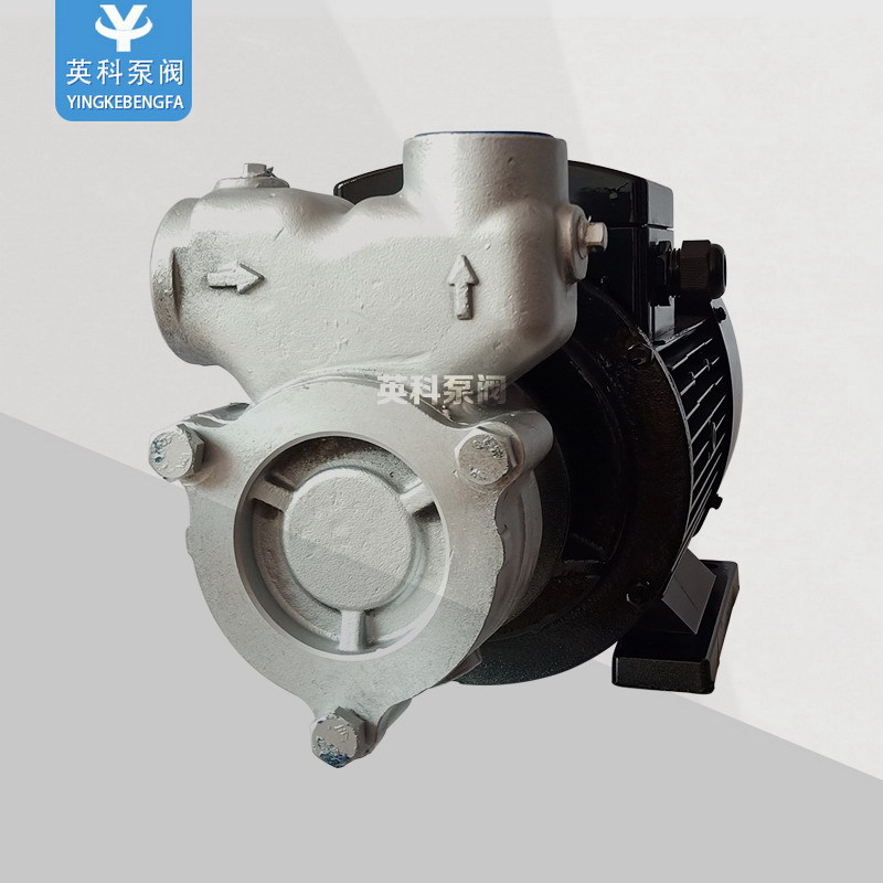 臭氧混合泵 气液混合泵 不锈钢自吸汽液混合泵40QY-6