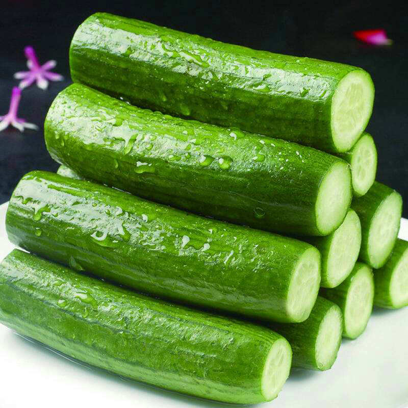水果黄瓜脆甜荷兰小青瓜新鲜蔬菜现摘乳瓜无刺白玉旱黄瓜5斤包邮