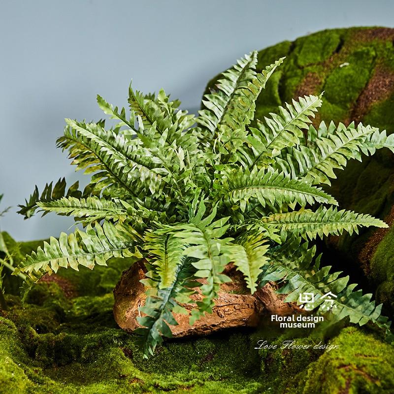 高度模拟肾蕨，模拟蕨类，模拟宇宙草，蕨类植物墙装饰盆栽植物，