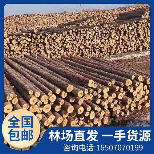 杉木桩户外河道护坡防腐落叶松