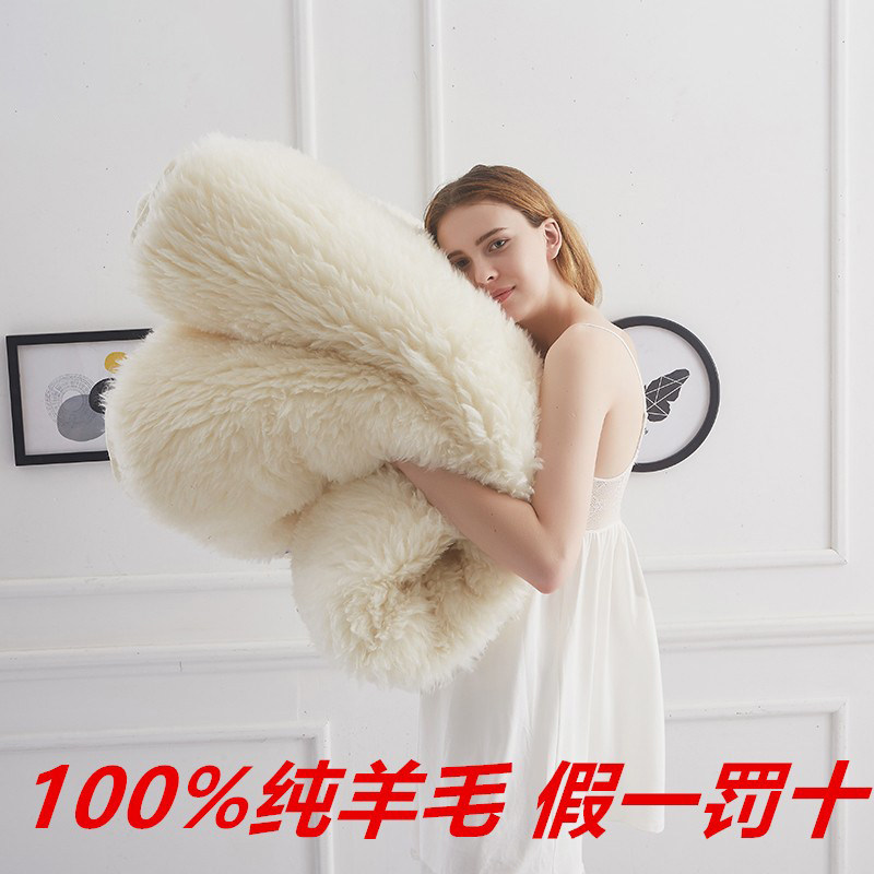 羊毛床垫100%澳洲进口纯羊毛褥子宿舍保暖学生加厚羊绒垫被芯子