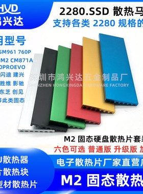 NVME NGFF M2 2280 22110 固态硬盘SSD 散热马甲散热片 m.2散热器