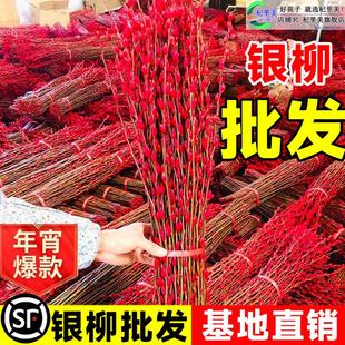 中国红色银柳真花鲜枝批发干花吉祥招财福桶带花瓶挂饰七彩仿真花