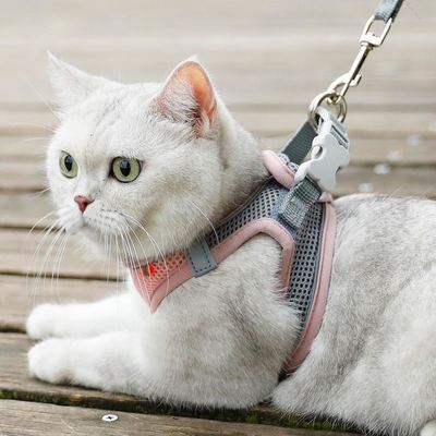 Breathable Cat Harness Leash Escape Proof Pet Clothes vest