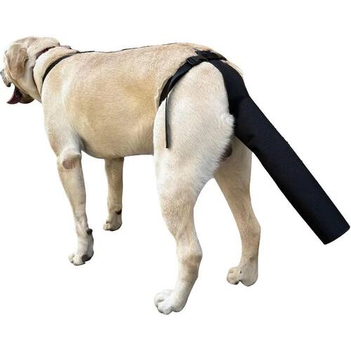 Universal Dog Tail Protector Convenient to Wear Dog Tail Gua
