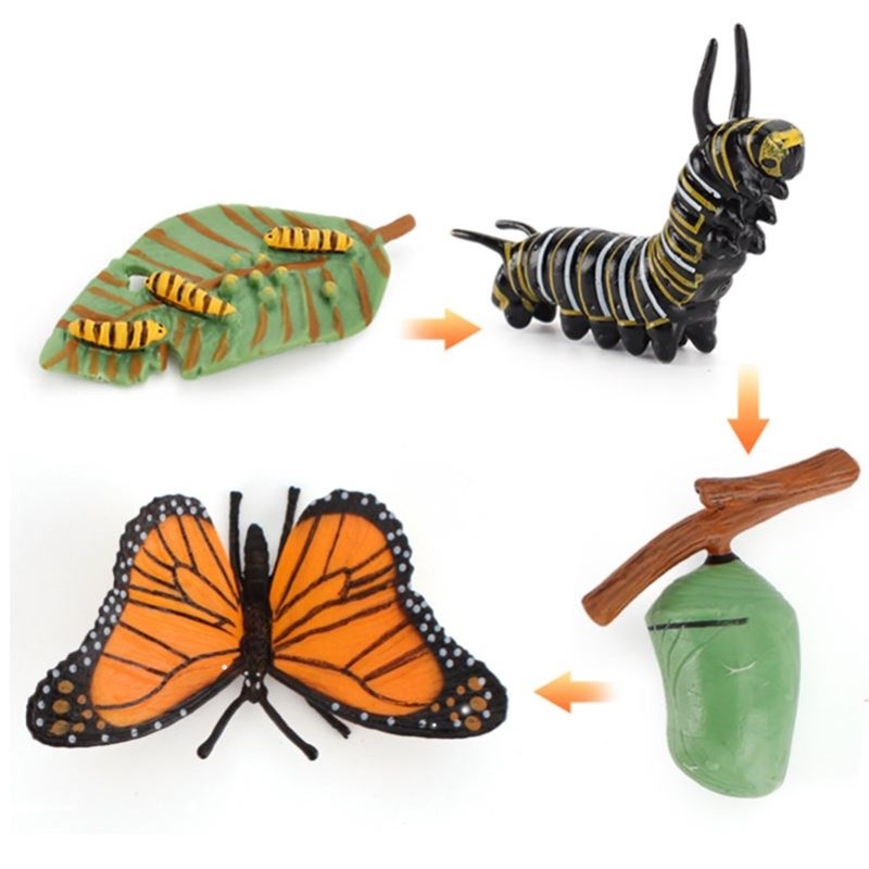 KidsEducationalToyPSG