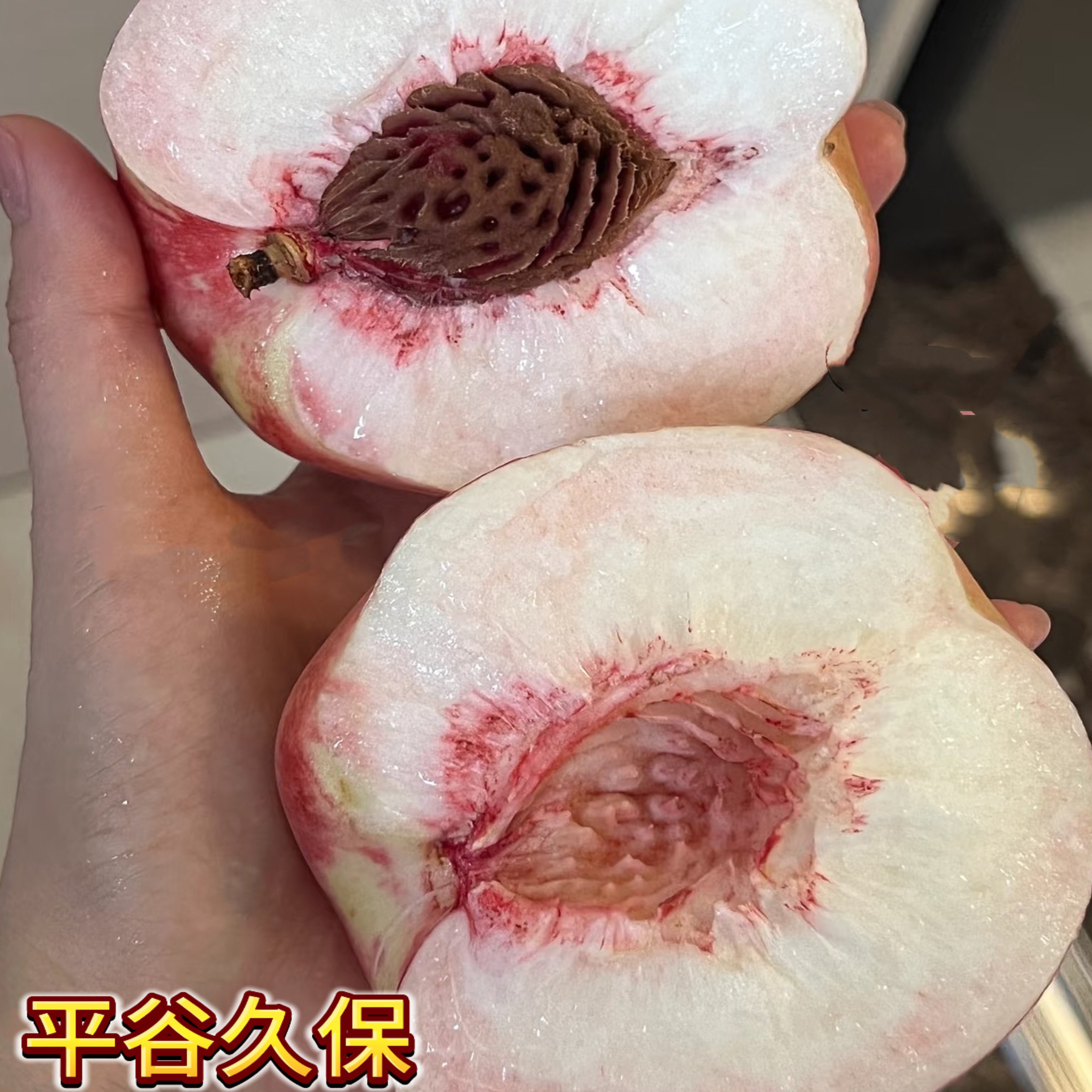 平谷久保14号离核桃子经典老品种
