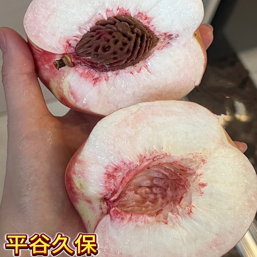 平谷久保14号离核桃子经典老品种