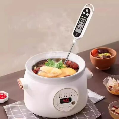 Fast Response Food Thermometer 1 PCs, 24.5cm Probe, Celsius/
