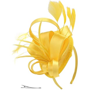 Celebrity Feather Fascinator Hat，Halloween Christmas Kentuc