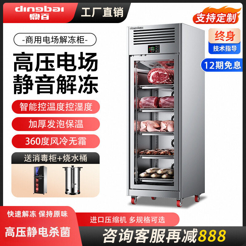 鼎百商用解冻柜高压静电低温冷藏大容量抑菌猪羊牛肉化冻机排酸柜