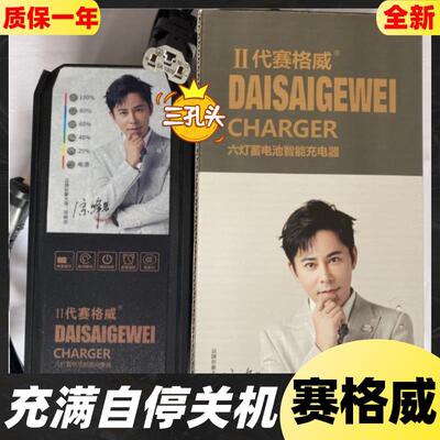 充满自停电动车充电器60V72V20二代赛格六灯脉冲智能原装铅酸三孔