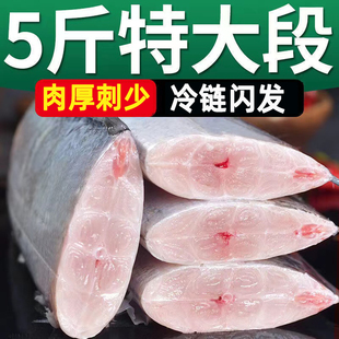 特大号带鱼中段新鲜冷冻小眼带鱼特野生深海鱼鲜活刀鱼段整箱商用