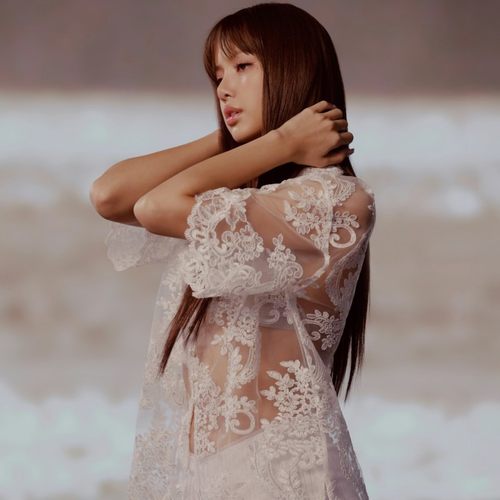 Lisa同款Kith联名蕾丝短袖衬衫