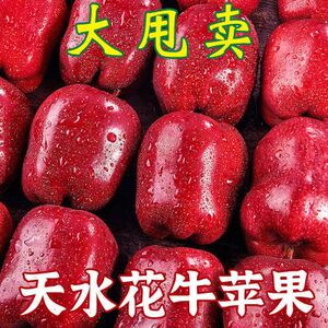 甘肃天水花牛苹果10斤新鲜当季水果脆甜孕妇辅食整箱包邮