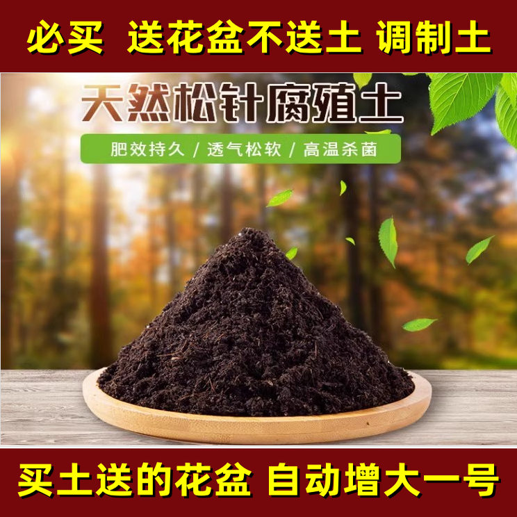 圣诞树真树 培育土 特级消毒营养土高温杀菌透气 花土适用土