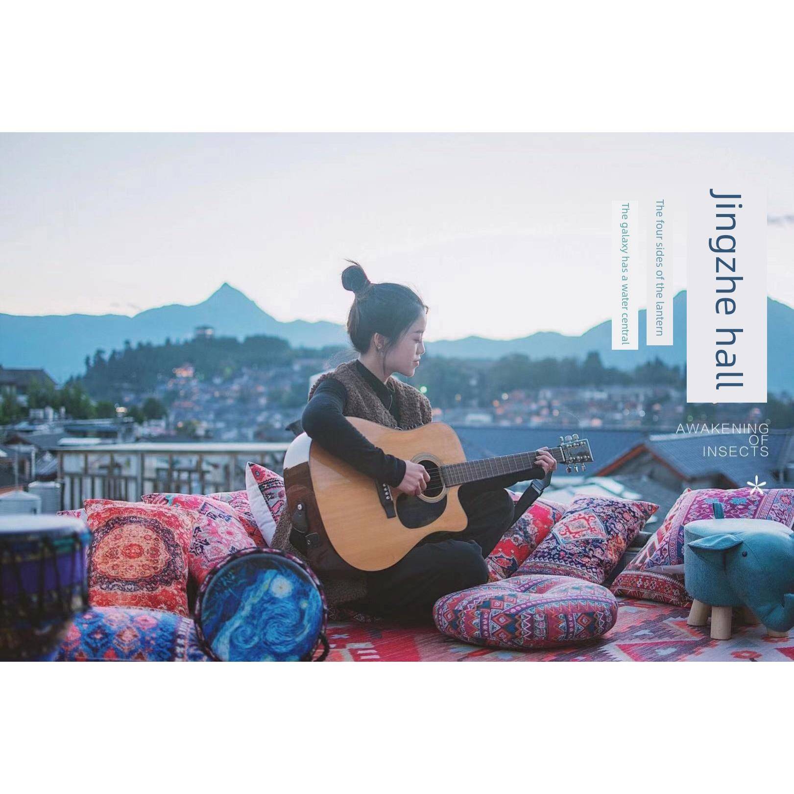 Cushion Cover Sofa Decorative Pillows Cover Velvet Pillow