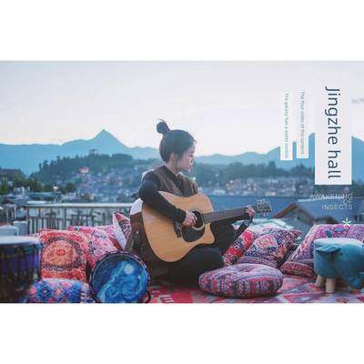 Cushion Cover Sofa Decorative Pillows Cover Velvet Pillow