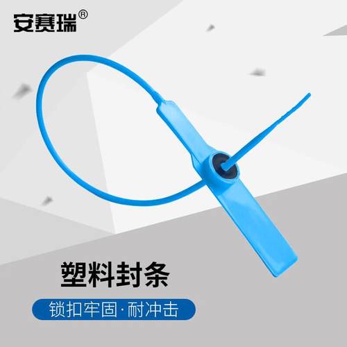 安赛瑞塑料封条一次性塑料铅封防盗封条蓝色全长28cm100根装23486
