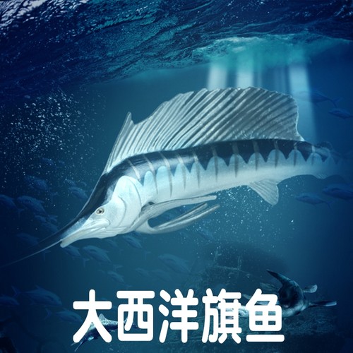 林畅模玩大西洋旗鱼模型仿真动物