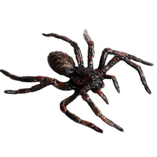 林畅模玩儿童昆虫动物玩具模型智利火红玫瑰红膝食鸟蛛仿真蜘蛛