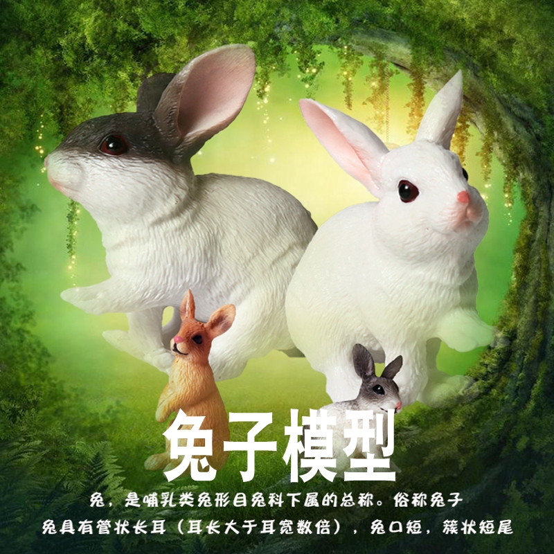 林畅模玩兔子模型仿真动物