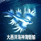 林畅模玩神奇海洋生物大西洋海神海蛞蝓模型仿真海底动物儿童玩具