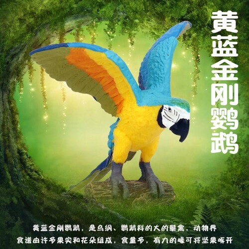 黄蓝金刚鹦鹉：是鸟纲、鹦鹉科的大型攀禽