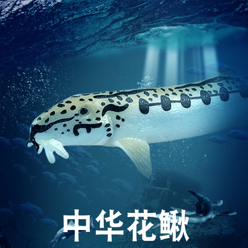 林畅模玩海洋硬骨鱼纲动物中华花鳅模型仿真海底生物泥鳅儿童玩具 玩具/童车/益智/积木/模型 仿真/动物玩偶 原图主图