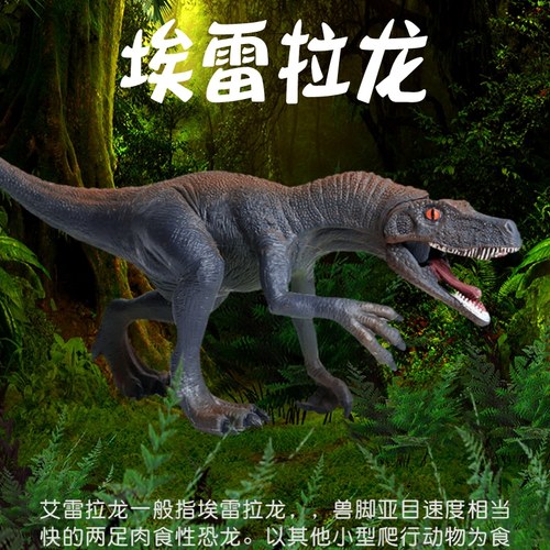 林畅模玩埃雷拉龙模型仿真恐龙