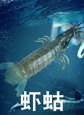 林畅模玩儿童海洋动物玩具虾蛄模型皮皮虾螳螂琵琶虾仿真海底生物