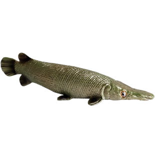 林畅模玩儿童海洋动物玩具鳄雀鳝模型仿真鱼深海史前鱼类远古生物