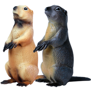 林畅模玩儿童仿真玩具旱獭模型实心土拨鼠草地獭松鼠科小动物男孩