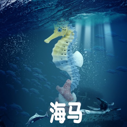 林畅模玩海马模型仿真海洋动物