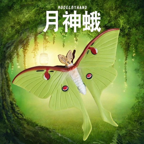 林畅模玩月神蛾模型仿真昆虫