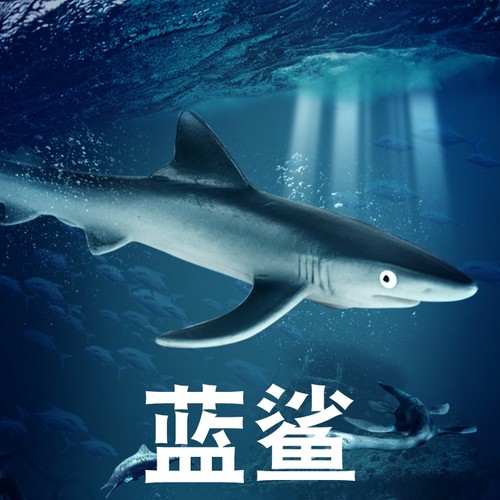林畅儿童深海鲨鱼玩具蓝鲨模型大青鲨锯峰齿鲛海洋生物仿真动物