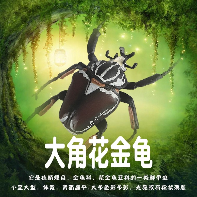 林畅模玩儿童昆虫玩具大角花金龟模型大王甲虫金龟子仿真动物认知,玩具/童车/益智/积木/模型,仿真/动物玩偶,淘宝优惠券,粉丝福利购,淘宝优惠卷