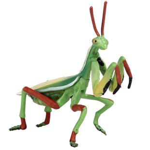 林畅模玩昆虫玩具澳洲斧螳模型宽腹螳螂仿真动物儿童认知虫子摆件