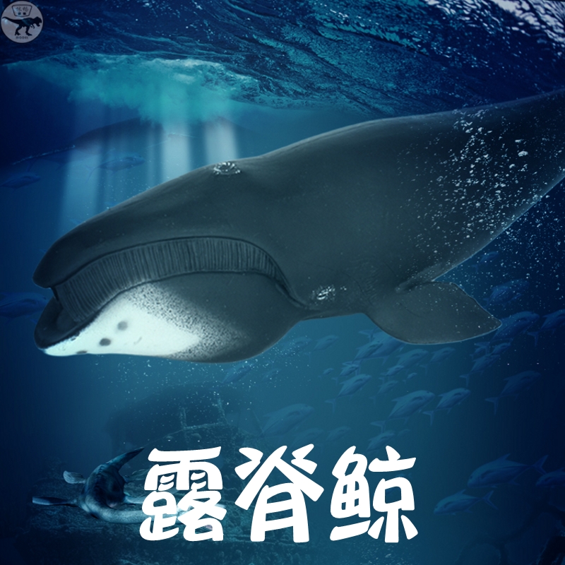 林畅儿童海洋生物玩具仿真动物鲸鱼鲨鱼模型大号露脊鲸套装大白鲨