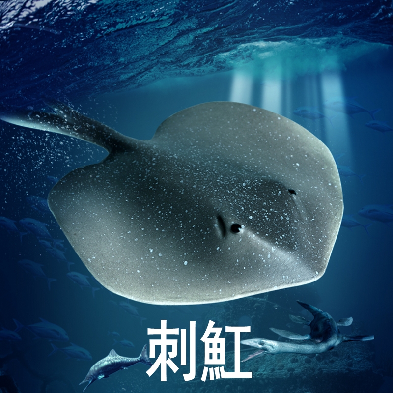 林畅模玩刺魟模型仿真海洋动物
