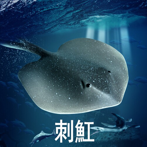 林畅模玩刺魟模型仿真海洋动物
