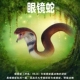 林畅模玩儿童爬行动物玩具仿真眼镜蛇模型大号软胶男孩生物认知