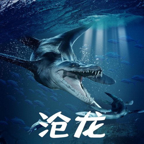 林畅模玩沧龙模型仿真恐龙玩具