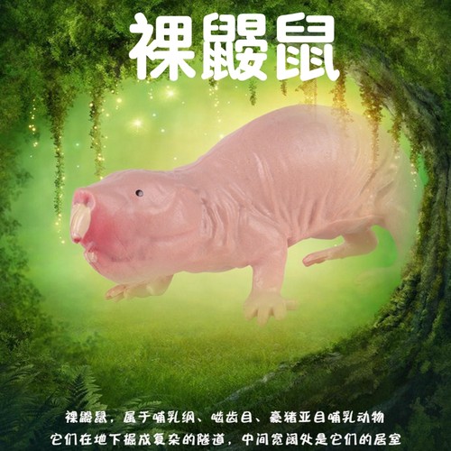 林畅模玩裸鼹鼠模型实心
