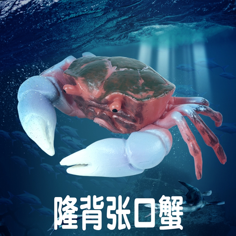林畅模玩隆背张口蟹模型仿真动物