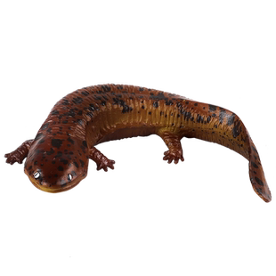 林畅模玩水生两栖爬行动物玩具娃娃鱼模型实心仿真大鲵鱼儿童认知