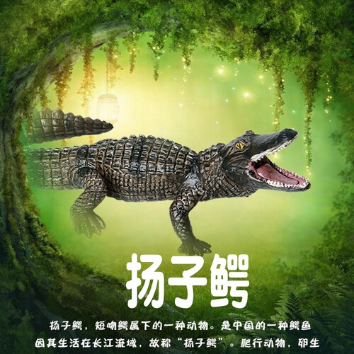 林畅模玩扬子鳄模型仿真动物玩具
